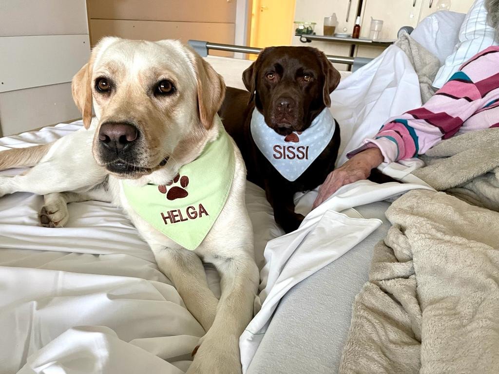 84_gaming-gegen-krebs-1.png?_cb=1667305717