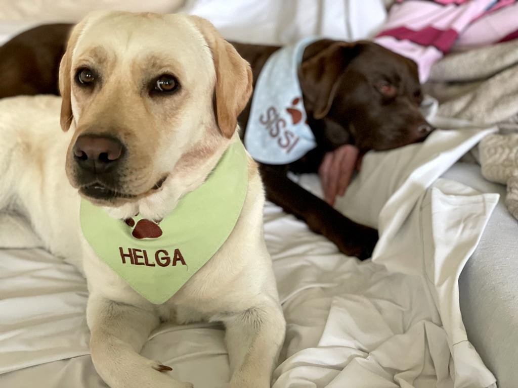 84_gaming-gegen-krebs-2.png?_cb=1667305717