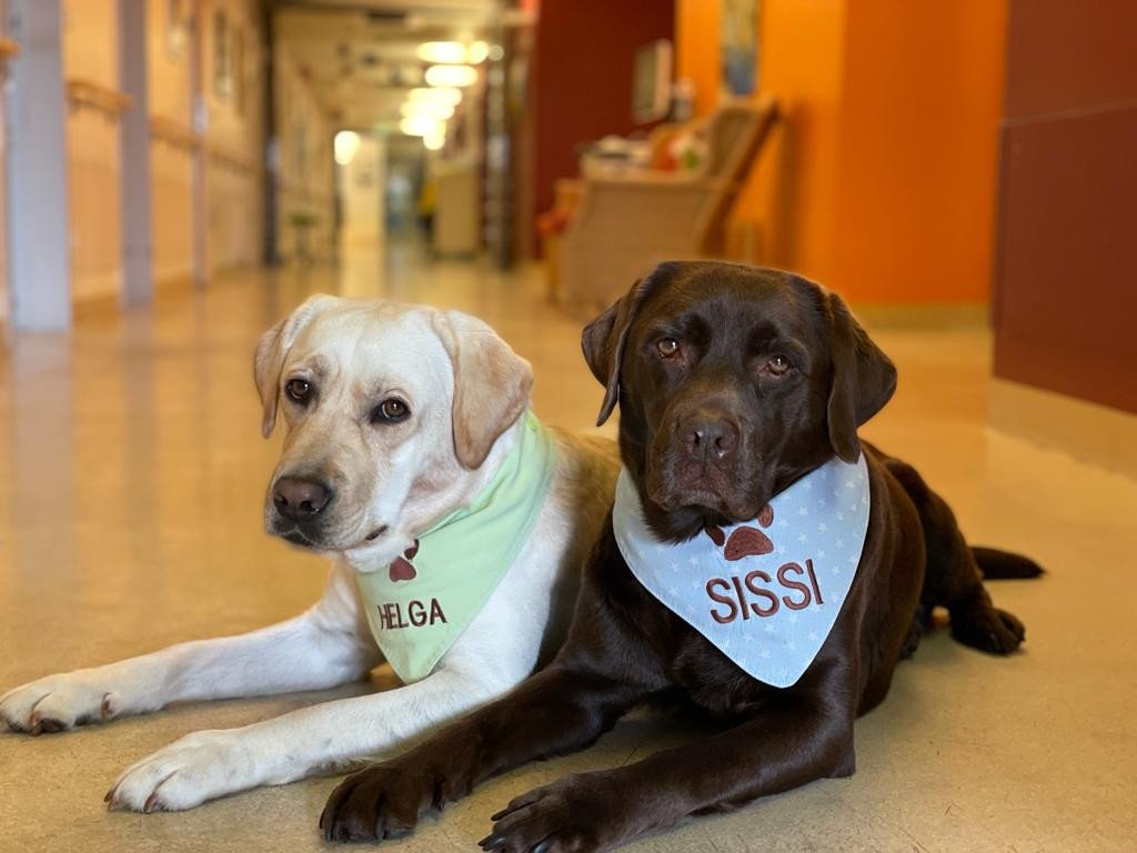 84_gaming-gegen-krebs-3.png?_cb=1667305717