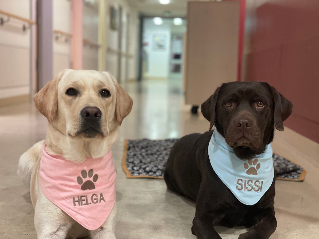 84_gaming-gegen-krebs-4.png?_cb=1667305717