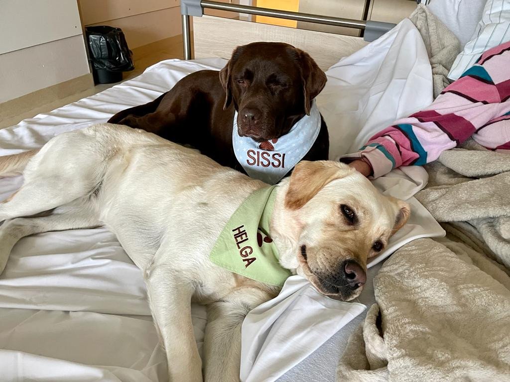 84_gaming-gegen-krebs-5.png?_cb=1667305717