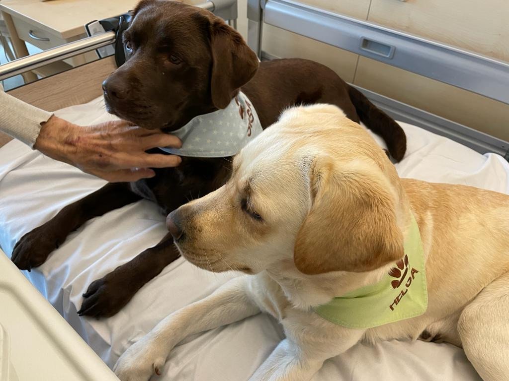 84_gaming-gegen-krebs-7.png?_cb=1667305717