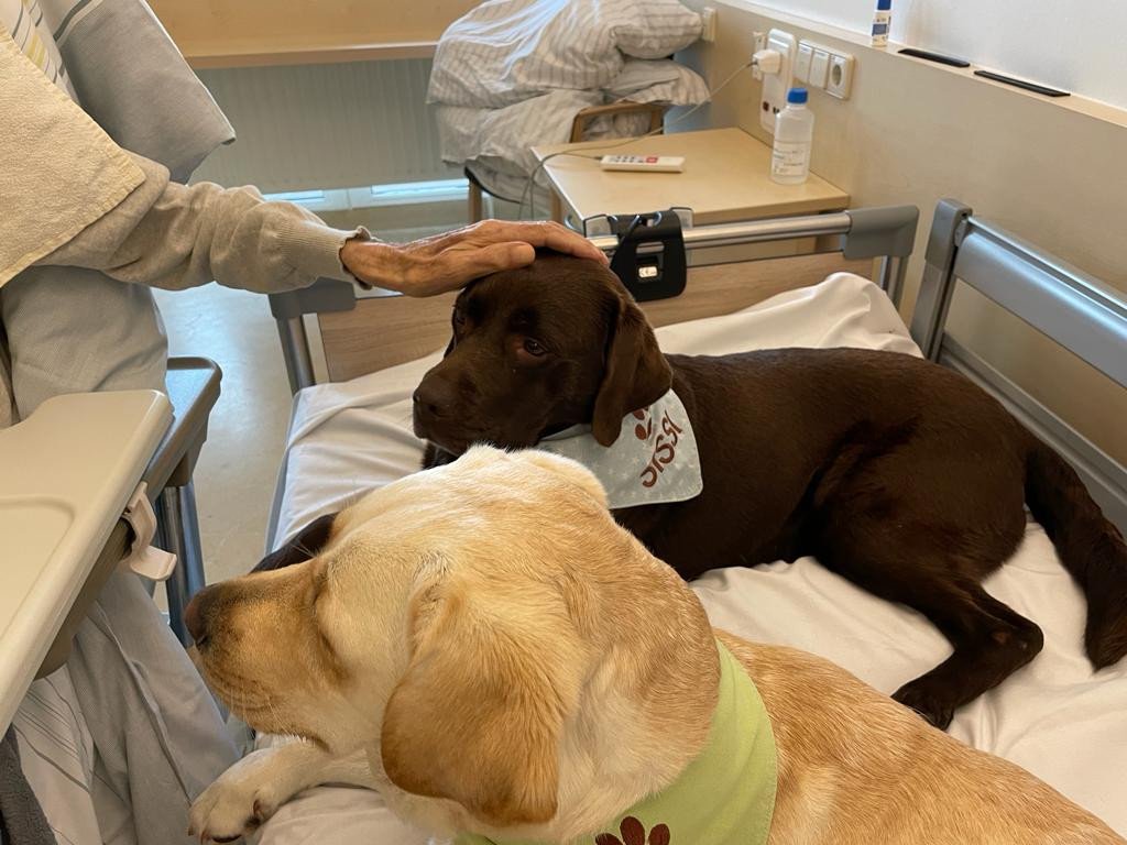 84_gaming-gegen-krebs-8.png?_cb=1667305717